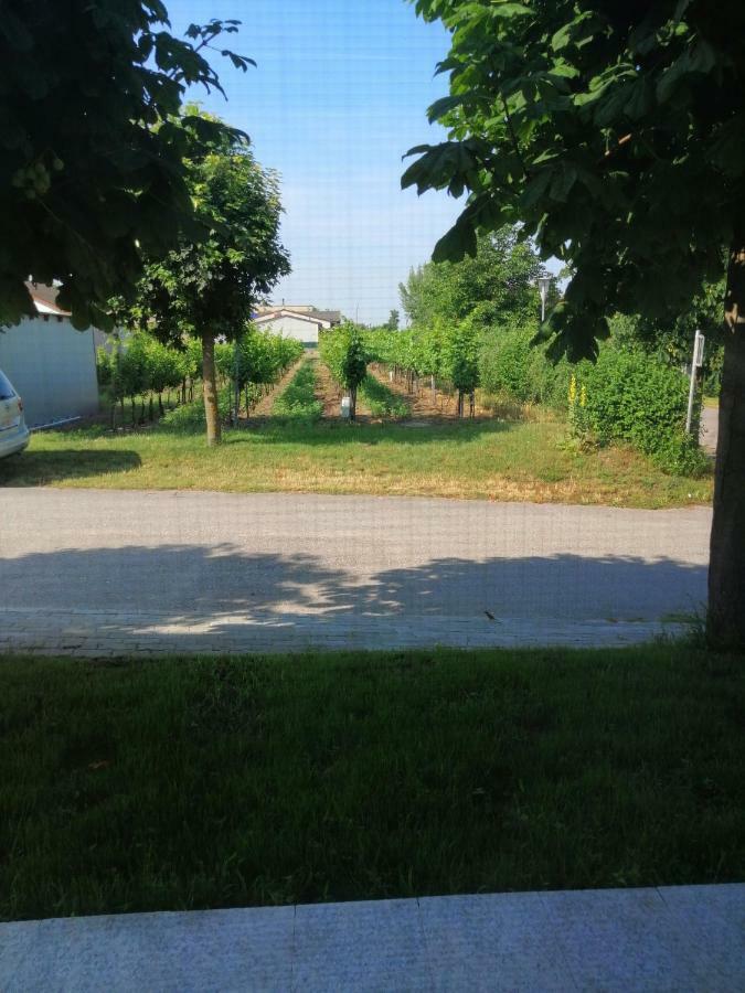 Campingblick-Gaestehaus-Ferienwohnungen Podersdorf am See Extérieur photo