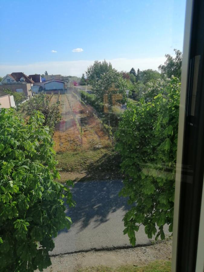 Campingblick-Gaestehaus-Ferienwohnungen Podersdorf am See Extérieur photo